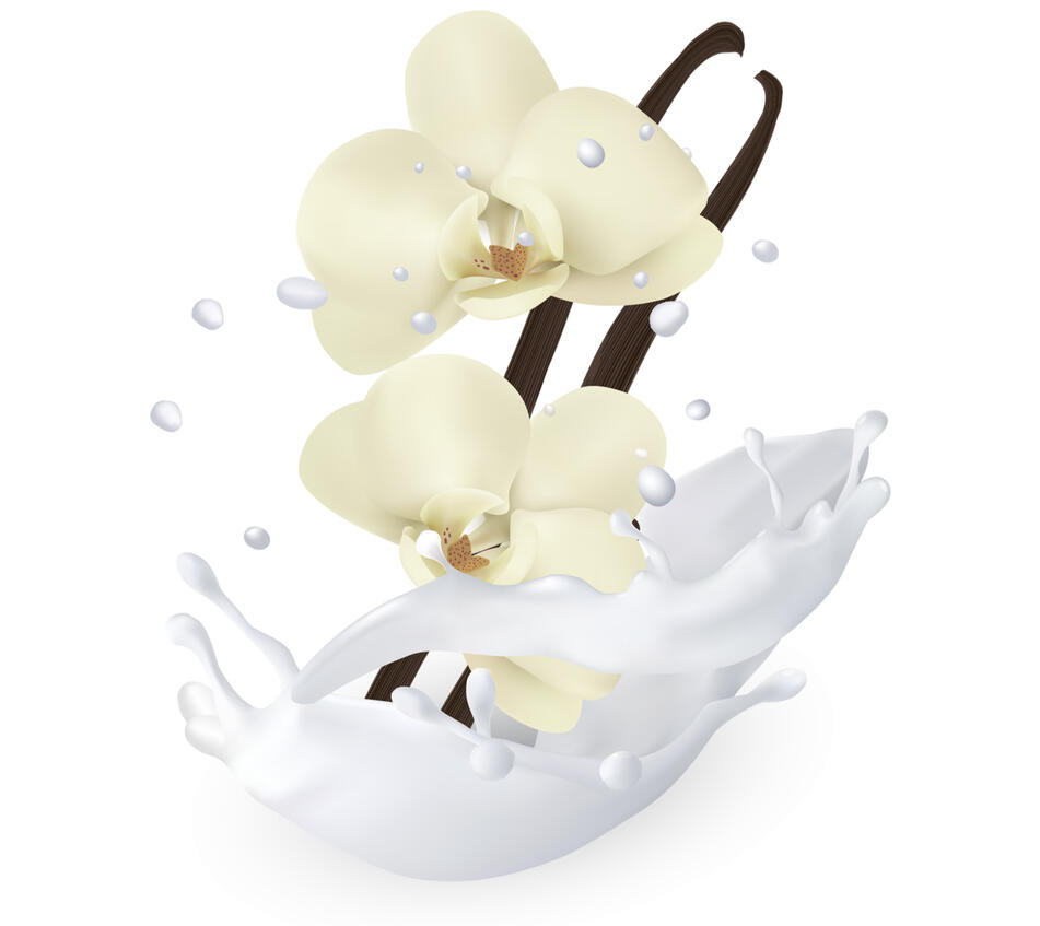 Vanilla